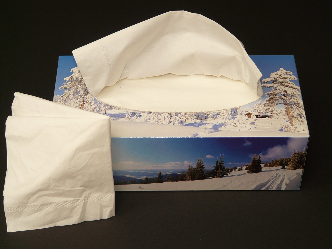 kleenex, tissue, paper towels-5610 kleenex, tissue, paper towels